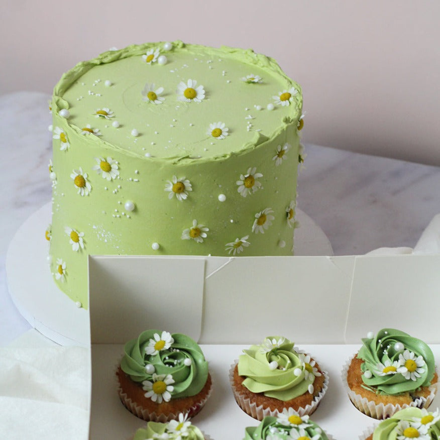 Matching cake &amp; cupcakes