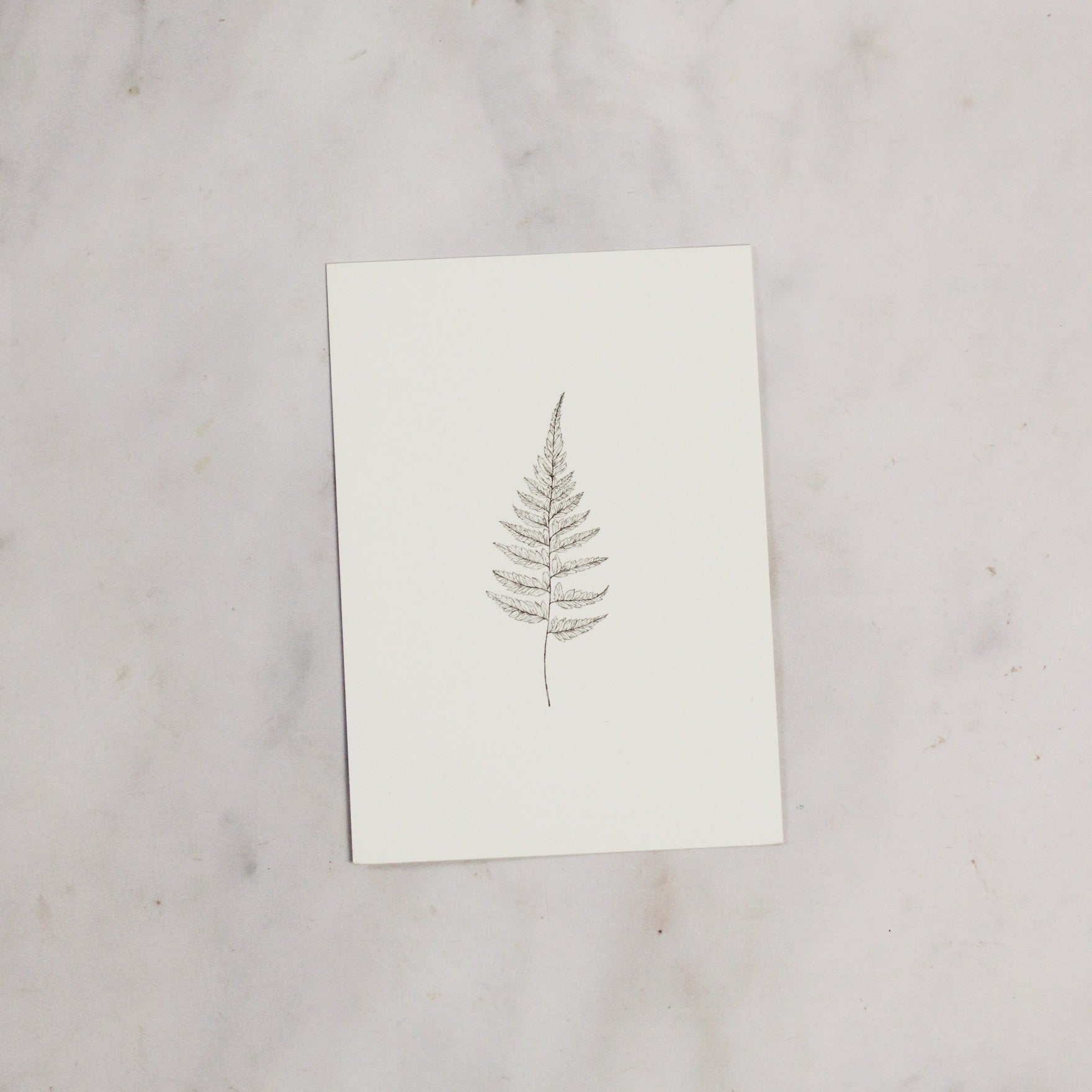 Leaf Postcard