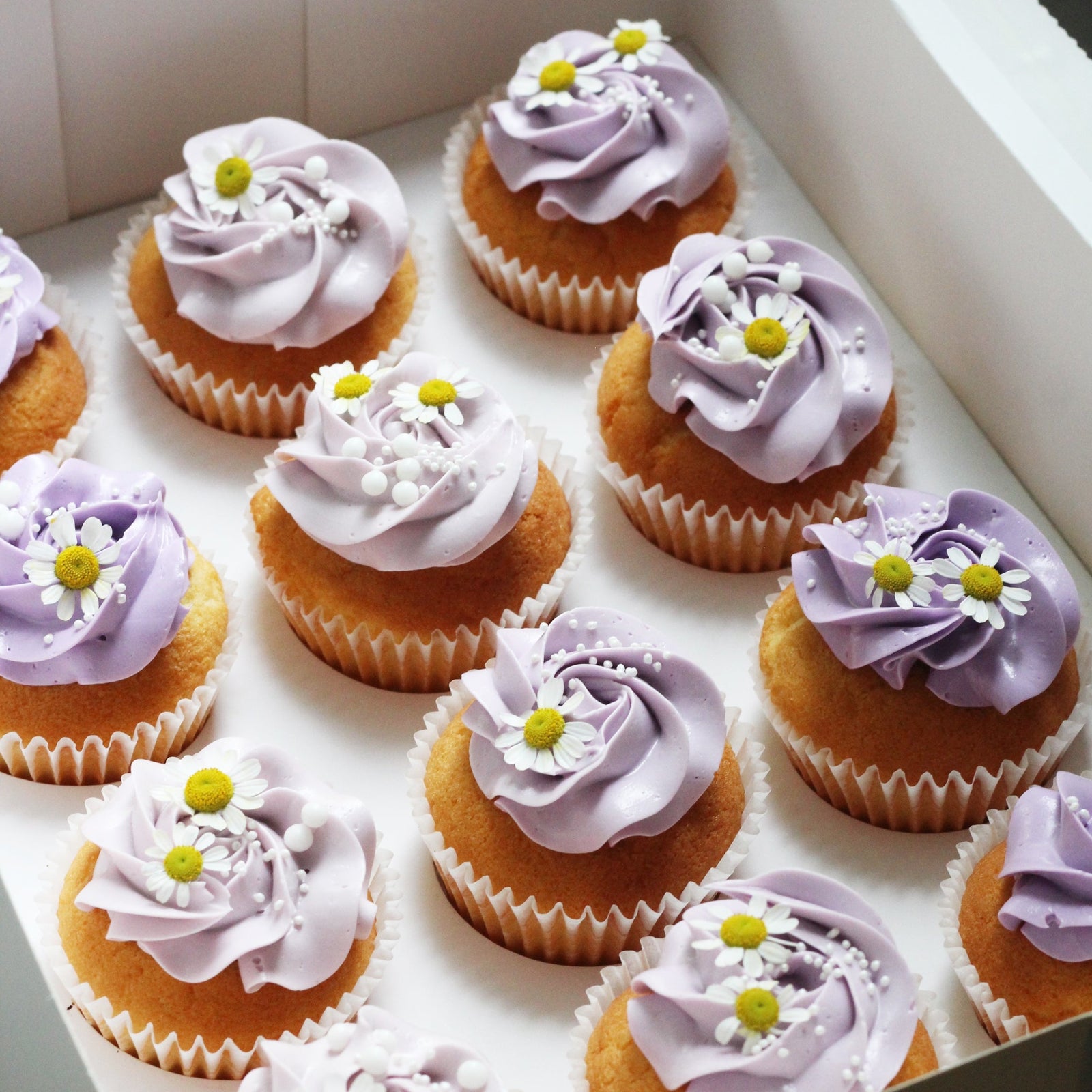 Our signature cupcakes with lilac buttercream, adorned with daisies on top!