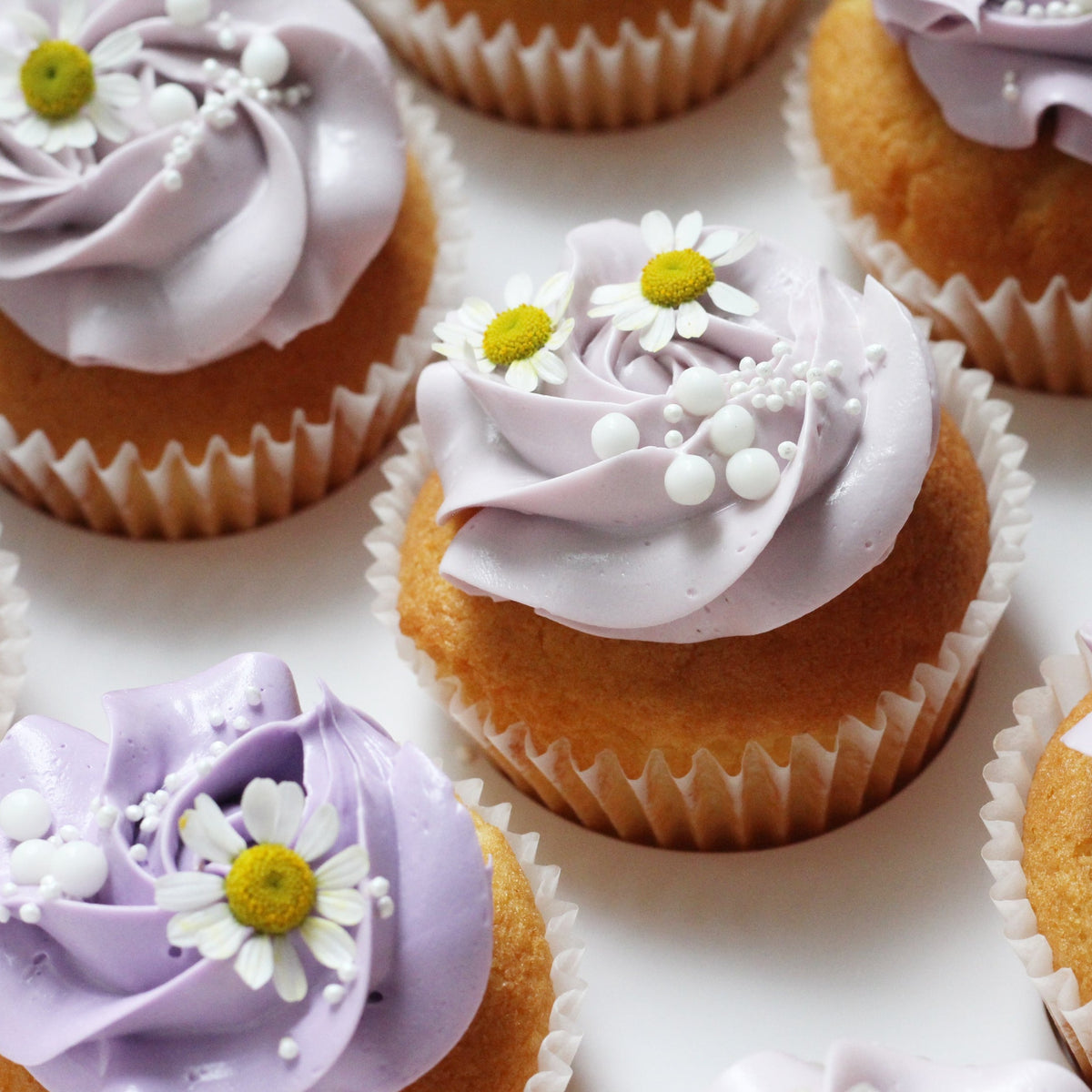 Our signature cupcakes with lilac buttercream, adorned with daisies on top!
