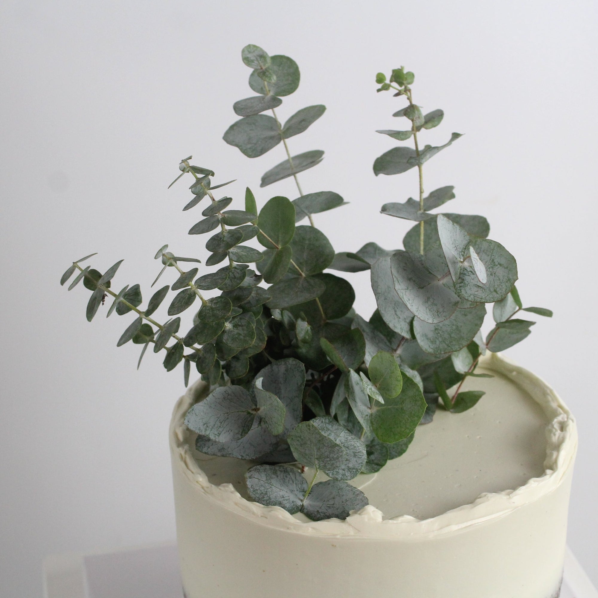 Forest Fairy Cake - Our signature semi-naked swiss meringue buttercream icing, decorated with Eucalyptus. Made in Kreuzberg delivered in Berlin.