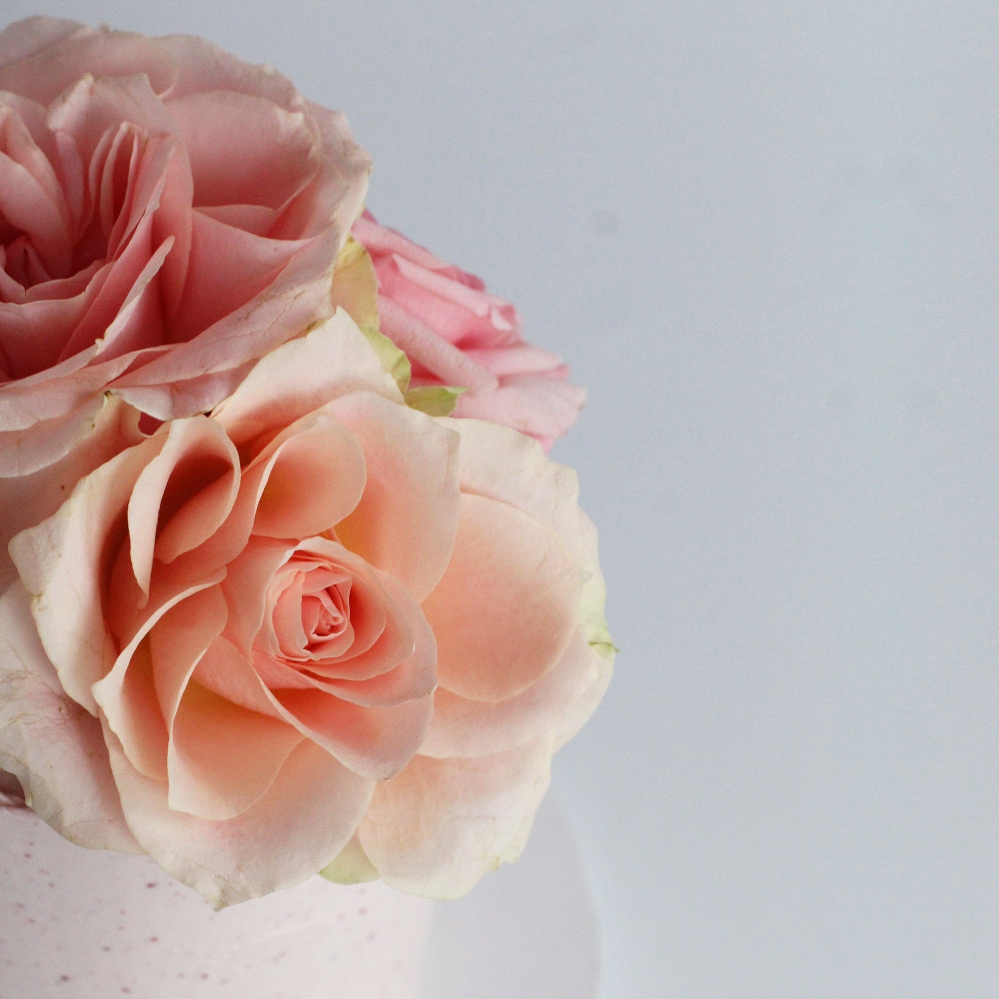 Our seasonal Rosie Cake iced with raspberry cream and topped with fresh roses!