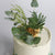 The Safari Tour Cake - perfect for those who want to get away! Adorned with brushstrokes, leaves and a figurine.
