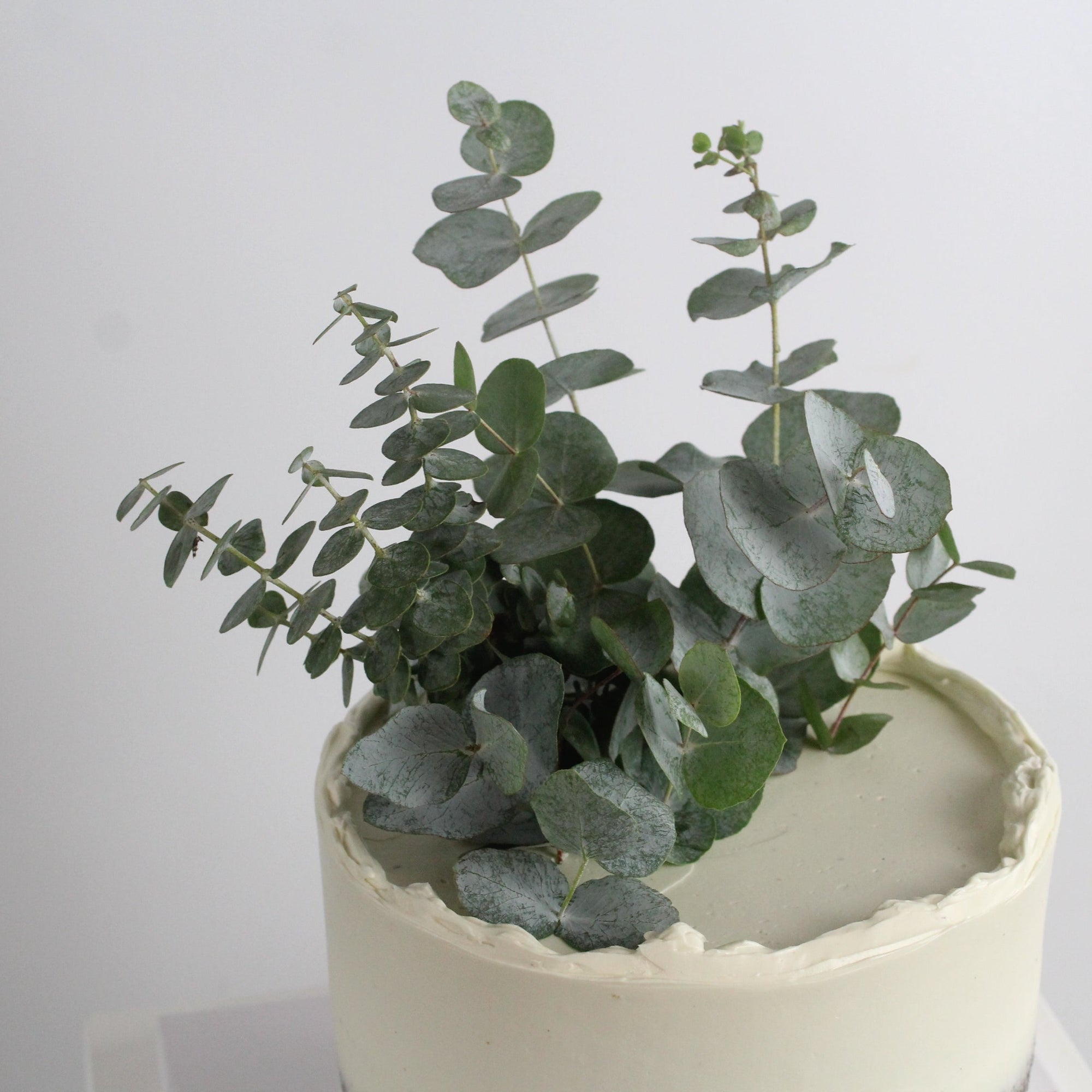 Forest Fairy Cake - Our signature semi-naked style decorated with Eucalyptus leaves. Made at our bakery in Kreuzberg - Delivered in Berlin.